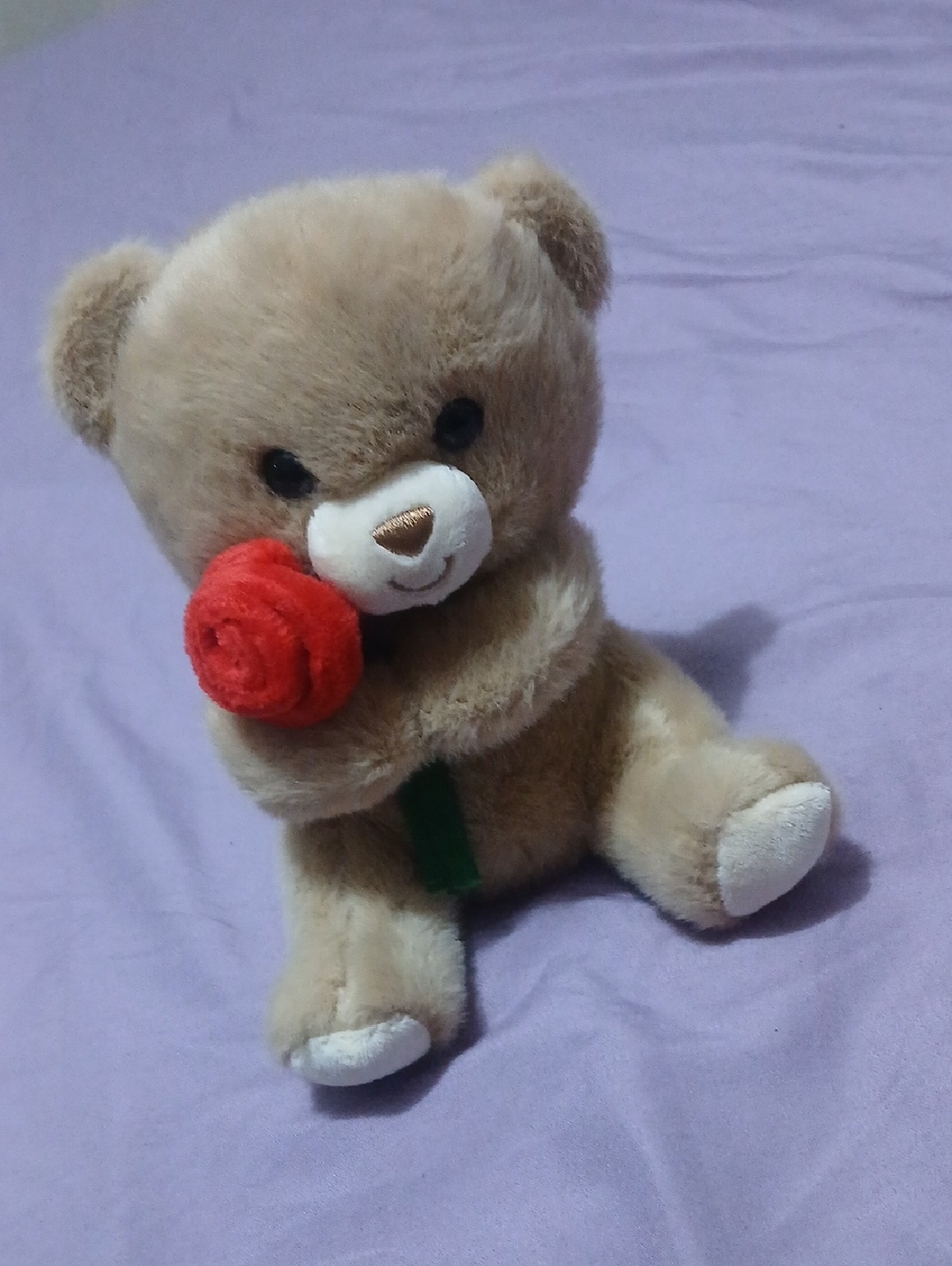 🚨Cute Brown Teddy Bear Holding Red Rose Plush Toy🚨
